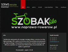 Tablet Screenshot of naprawa-rowerow.pl